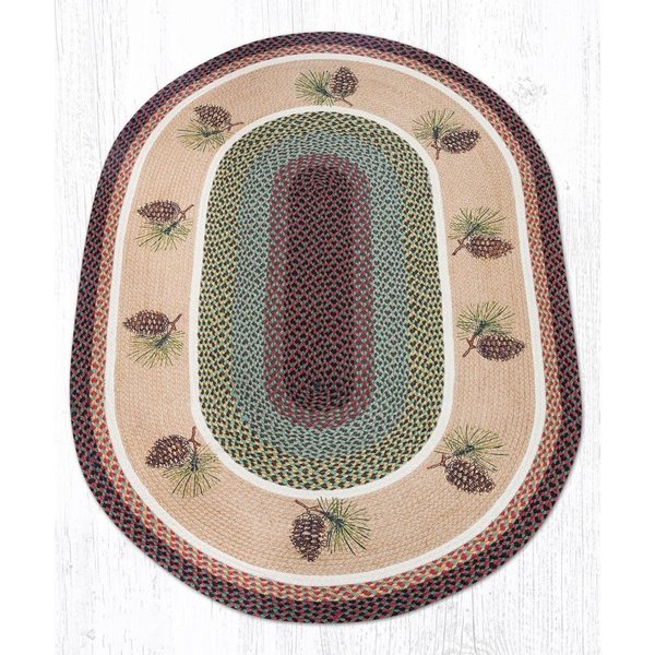 H2H 4 x 6 ft. Jute Oval Pinecone Patch H22548703